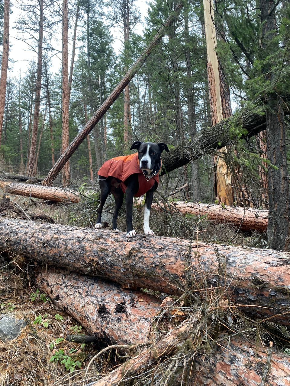 Slight Delay due to Power Outage